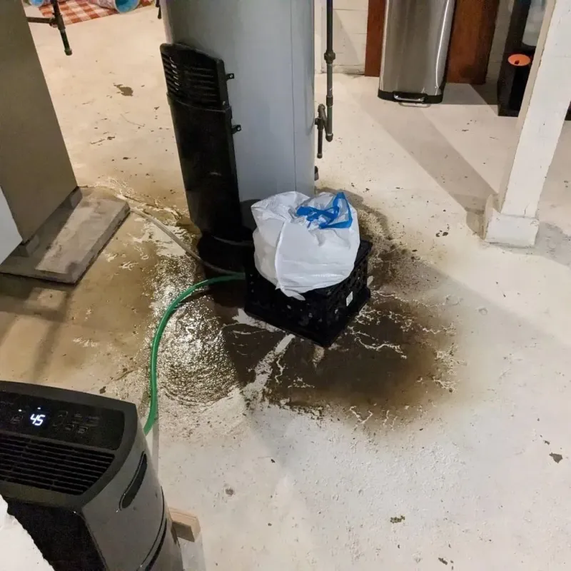 Sewage Backup Cleanup Service in Berwick, PA